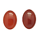 Cabochons en agate rouge naturelle G-N209-35-1