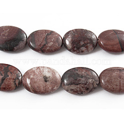 Natural Gemstone Beads Strands, Red Picture Jasper, Oval, about 18~19mm wide, 24~25mm long, 8~9mm thick, hole: 1.5mm, 16pcs/strand, 15.5 inch