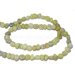 Fili di perline di gemstone naturale, giada limone, circa 3~5mm, Foro: 0.8 mm, 15.5 pollice, 82 pcs / Filo