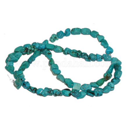 Chapelets de perles en turquoise naturelle G344-8-1