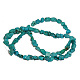 Chapelets de perles en turquoise naturelle G344-8-1
