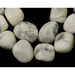 Природных драгоценных камней бисер нитей, Говлит, баррель, белые, 16~24x14~17 мм, отверстие : 1 мм, около 22~23 шт / нитка, 15 дюйм