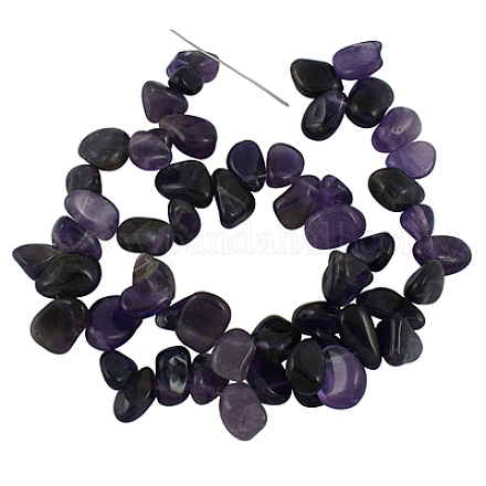 Natural Amethyst Chips Beads Strands G505-062-1