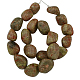 Natural Gemstone Beads Strands G501-47-2