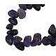 Natural Amethyst Chips Beads Strands G505-062-2