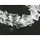 Transparent Glass Beads Strands GF14X9mm01-1