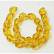 Glass Beads Strands GLAA-Q008-3-1