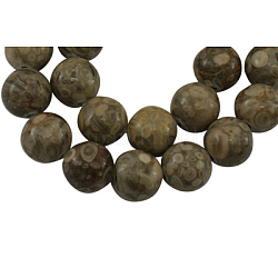 Gemstone Beads Strands, Maifanite/Maifan Stone, Round, Gray, about 10mm in diameter, hole: 1mm, 40 pcs/strand, 16inch