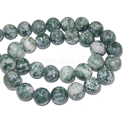 Perles en pierres gemme, tache verte jasper, ronde, environ 12 mm de diamètre, Trou: 1mm, Environ 33 pcs/chapelet, 15.5 pouce