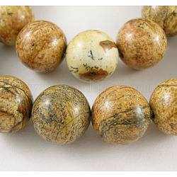 Natural Gemstone Beads Strands, Picture Jasper, Round, 14mm, Hole: 1mm, about 28pcs/strand, 15.5 inch