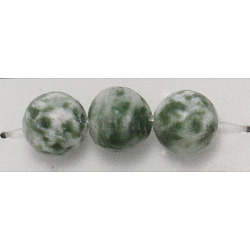 Нити бусин из драгоценных камней, зеленое пятно яшма, круглые, диаметром около 16 мм , отверстие: 1.0 мм, около 25 шт / нитка