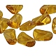 Glass Beads Strands GS069-13-1