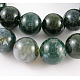 Natural Moss Agate Beads Strands GSR14mmC001-1