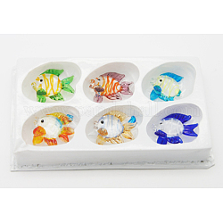 Handmade Lampwork Display Decorations, Home Decorations, Tropical Fish, Box Packing, Mixed Color, 30x25x7mm