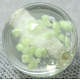 Luminous Glass Beads Strands LJB10MMC09-1