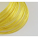 スチール製メモリーワイヤー  ブレスレット作りに  ゴールドカラー  55mm  ワイヤー：0.6mm（22ゲージ）  2200円/ 1000g MW5.5CM-G-2