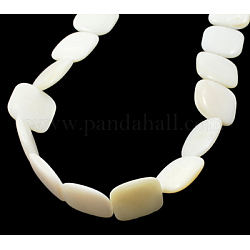 Chapelets de perles de coquillage naturel, carrée, blanc, longueur d'environ 14 mm ,  largeur de 14 mm, épaisseur de 4mm, Trou: 1mm, Environ 26 pcs/chapelet
