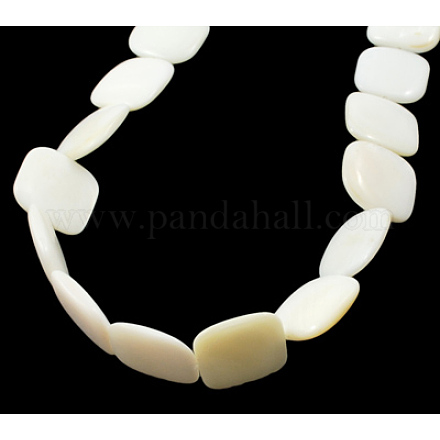Chapelets de perles de coquillage naturel PBB-XXBK034Y-13-1