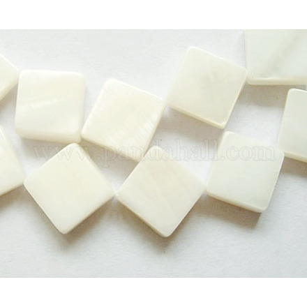 Freshwater Shell Beads Strands PBB038Y-1