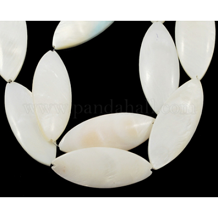 Shell normal de perles blanches de brins PBB424Y-1