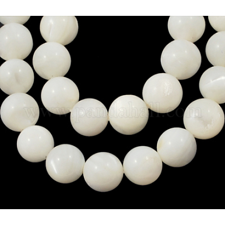 Natural White Shell Beads Strands PBB448Y-1-1