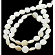 Natural Shell Beads Strands PBB-XXBK024Y-13-2