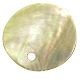 Pendientes de concha PBB013-1