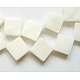 Freshwater Shell Beads Strands PBB038Y-1