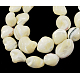 Shell normal de perles blanches de brins PBB412Y-1