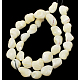 Shell normal de perles blanches de brins PBB412Y-2