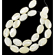 Shell normal de perles blanches de brins PBB413Y-2
