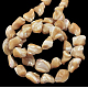 Chapelets de perles en coquille de spirale naturelle PBB417Y-2
