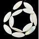 Shell normal de perles blanches de brins PBB424Y-2