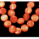 Chapelets de perles de coquillage PBB436Y-4-1
