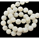 Natural White Shell Beads Strands PBB448Y-1-2