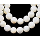 Shell normal de perles blanches de brins PBB934Y-1