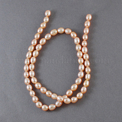 Natural Cultured Freshwater Pearl Beads Strands, Rice, Light Salmon, 2~3mm, Hole: 0.5mm,about 125pcs/strand