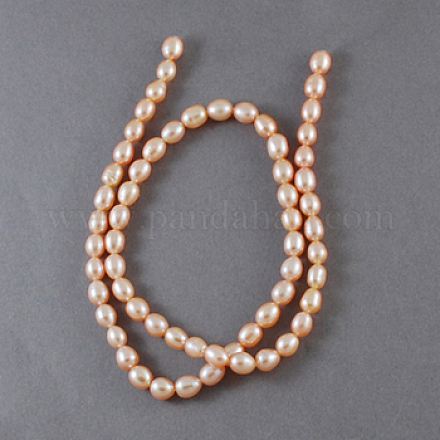 Natural Cultured Freshwater Pearl Beads Strands PEAR-S004-2~3mm-1-1