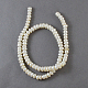 Natural Cultured Freshwater Pearl Beads Strands PEAR-S002-5~6mm-3-1