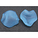 Transparent Acrylic Pendants PL589-6-1
