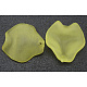 Transparent Acrylic Pendants PL589-7-1