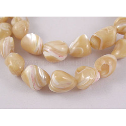 Erose Natural Shell Beads Strands, Goldenrod, about 6~13mm long, 6~12mm wide, hole: 1mm, about 42pcs/strand, 15~16 inch