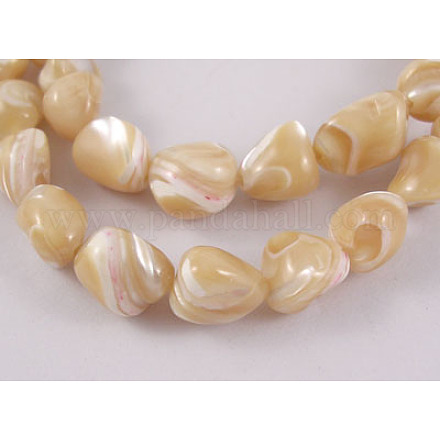 Erose coquille naturelle brins de perles SH012-1