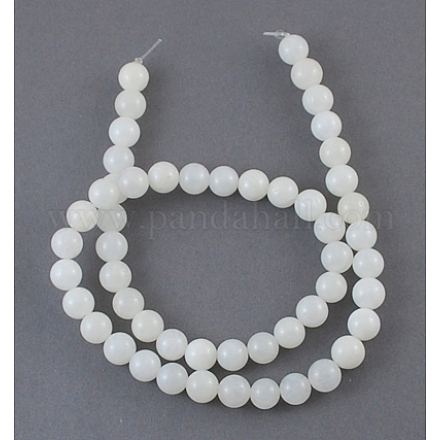 Natural White Shell Beads Strands SHEL-S200-1-1