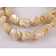 Erose coquille naturelle brins de perles SH012-1