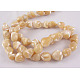 Erose coquille naturelle brins de perles SH012-2