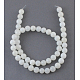 Natural White Shell Beads Strands SHEL-S200-1-3