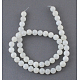 Natural White Shell Beads Strands SHEL-S200-1-1