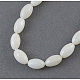 Chapelets de perles de coquillage naturel SHEL-S211-1-2