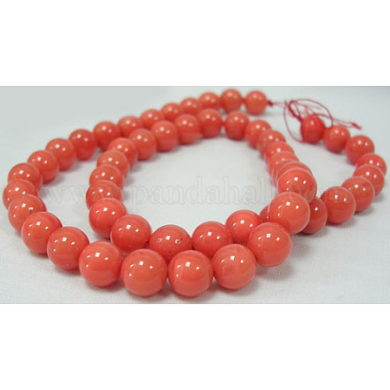 Polished Shell Pearl Round Beads Strands SP12MM243-1